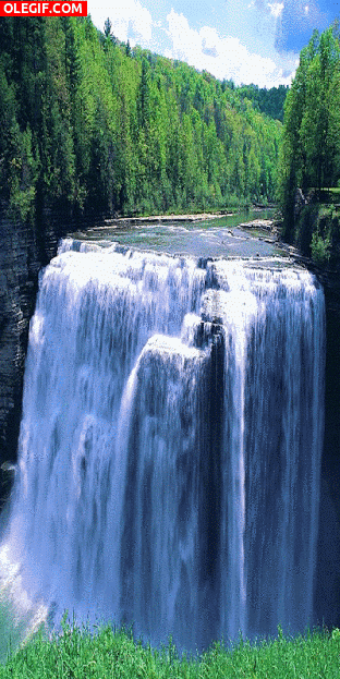 GIF: Una cascada en el río