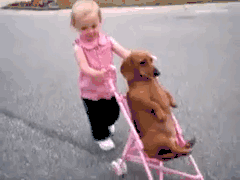 GIF: Mira a esta niña paseando al perro