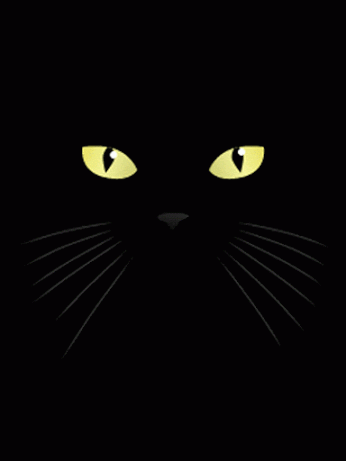 GIF: Un gato negro lamiendo la pantalla