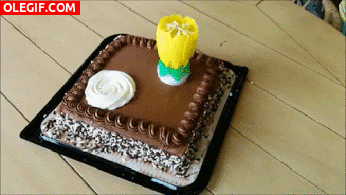 GIF: Bonita vela sobre una tarta de cumpleaños