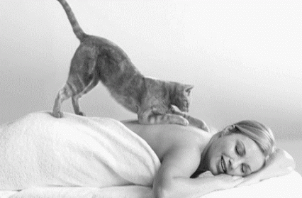 GIF: Este gato es un buen masajista