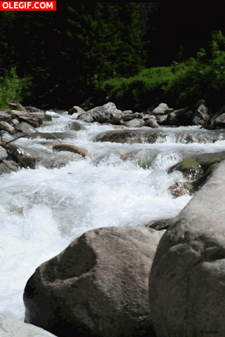 GIF: Río fluyendo en plena naturaleza