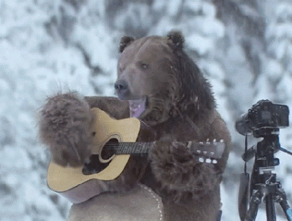 GIF: A este oso le gusta cantar y tocar la guitarra bajo la nieve