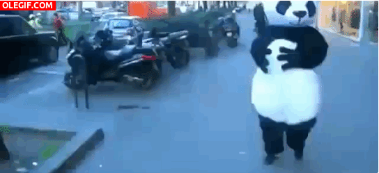 GIF: La maldición del panda