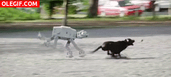 GIF: Recogiendo la caca de mi perro-robot