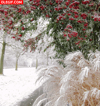 GIF: Copos de nieve cayendo en la naturaleza