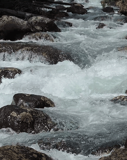 GIF: Agua de río fluyendo entre las piedras