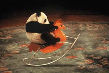 GIF: A este panda le gusta balancearse en el caballito