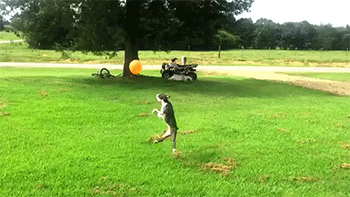 GIF: A este perro le gusta jugar con el globo