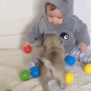 GIF: Bebé jugando con el cachorro