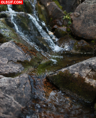 GIF: Riachuelo fluyendo entre las rocas