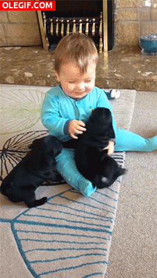 GIF: Bebé jugando con dos cachorros