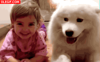 GIF: Las risas de una niña junto a su perro