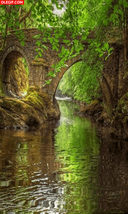 GIF: Río bajo un puente