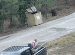 GIF: Mira cómo salvan a los osos de un contenedor de basura