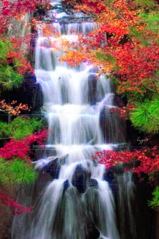 GIF: Una hermosa cascada