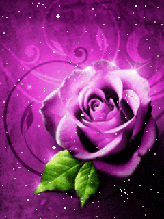 GIF: Bonitas rosas