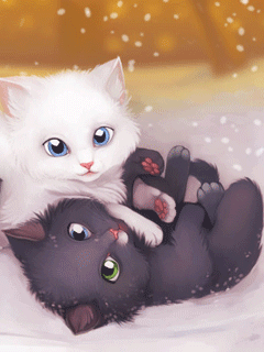 GIF: Dos lindos gatitos pestañeando