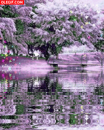 GIF: Árboles florales reflejados en el lago