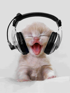 GIF: A este gatito le gusta la música