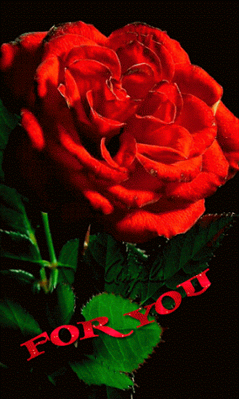 GIF: Esta rosa es para ti