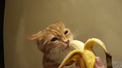 GIF: ¡Me gusta el plátano!
