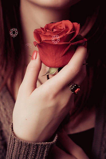 GIF: Una rosa entre mis manos