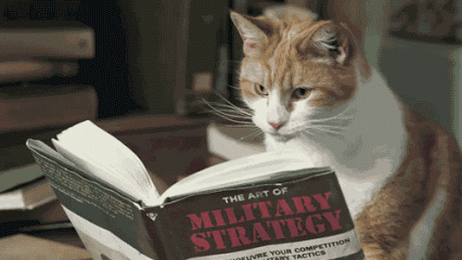 GIF: Leyendo un libro de estrategia militar