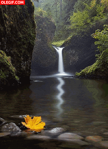 GIF: Cascada fluyendo en otoño