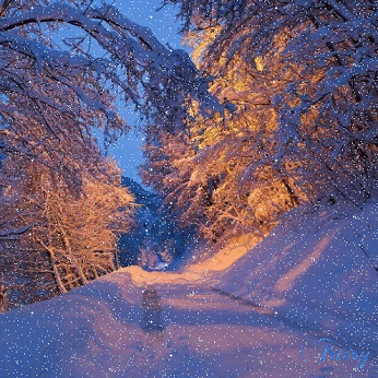 GIF: Nieve cayendo en la carretera