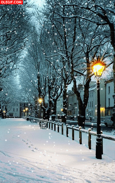 GIF: Nieva en el parque
