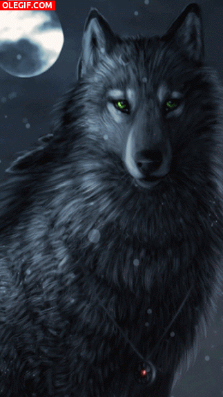 GIF: Un hermoso lobo mágico