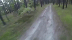 GIF: A este ciclista le persigue un oso