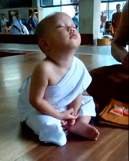 GIF: Este pequeño monje se cae de sueño