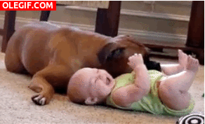 GIF: Este bebé es feliz con el perro