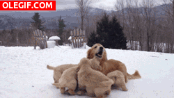 GIF: Jugando con mamá en la nieve
