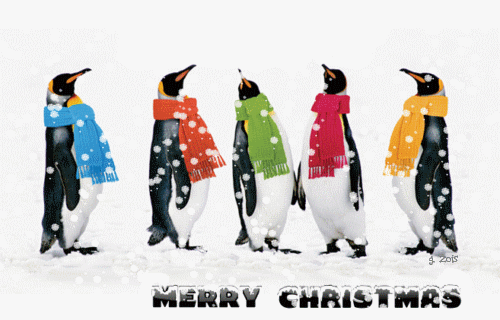 GIF: Estos pingüinos te desean "Feliz Navidad"