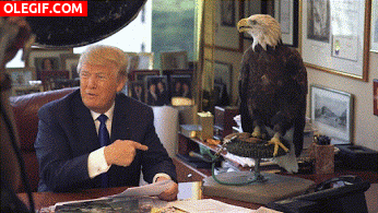 GIF: Picotazo a Donald Trump