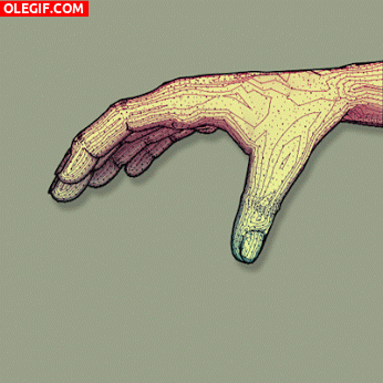 GIF: Descomposición de una mano