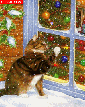 GIF: Gato junto a una ventana en Navidad