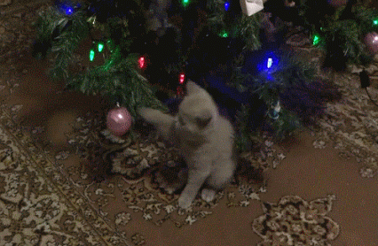 GIF: Jugando con las bolas del árbol de Navidad
