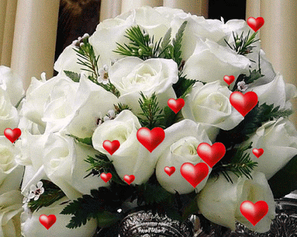 GIF: Rosas para el Día de San Valentín