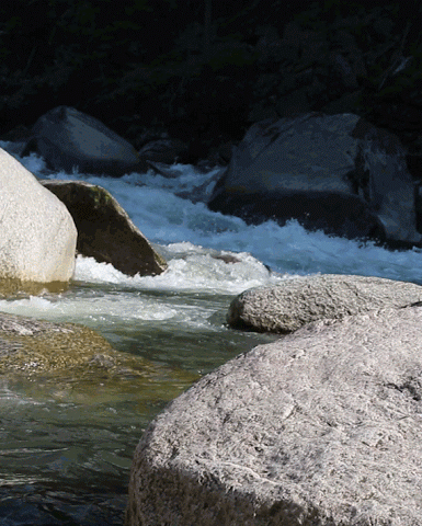 GIF: Río fluyendo entre las rocas
