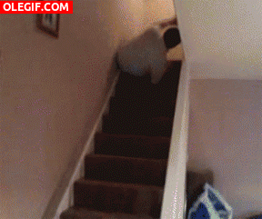GIF: Rodando por las escaleras