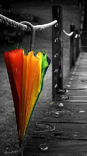GIF: Paraguas bajo la lluvia
