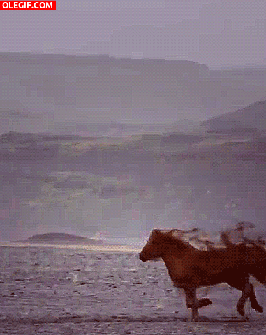 GIF: De caballo a unicornio