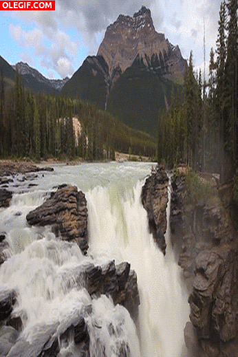 GIF: Río cayendo en cascada
