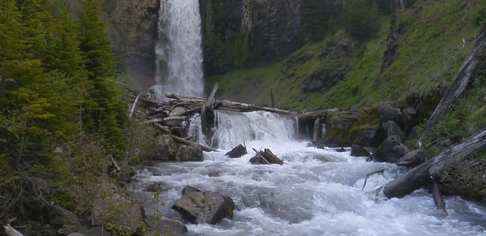 GIF: Cascada y río fluyendo