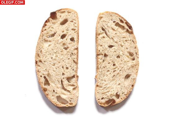 GIF: Ricas tostas de pan