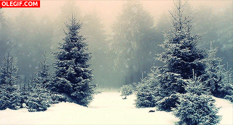 GIF: Nieve cayendo en el bosque
